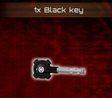 1x Black key